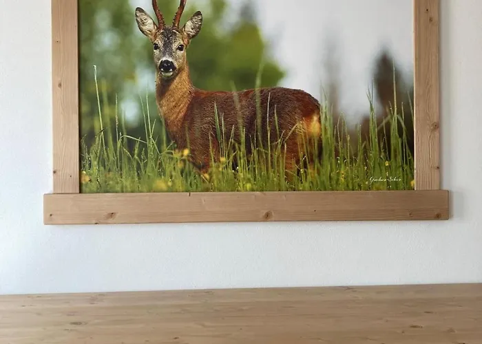 Lejlighed Sole & Relax *