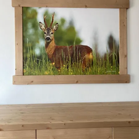 아파트 Sole & Relax *